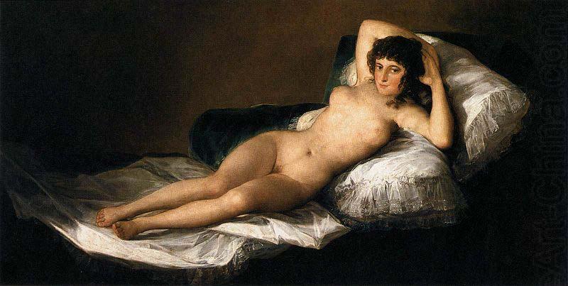 Francisco Goya The Nude Maja china oil painting image